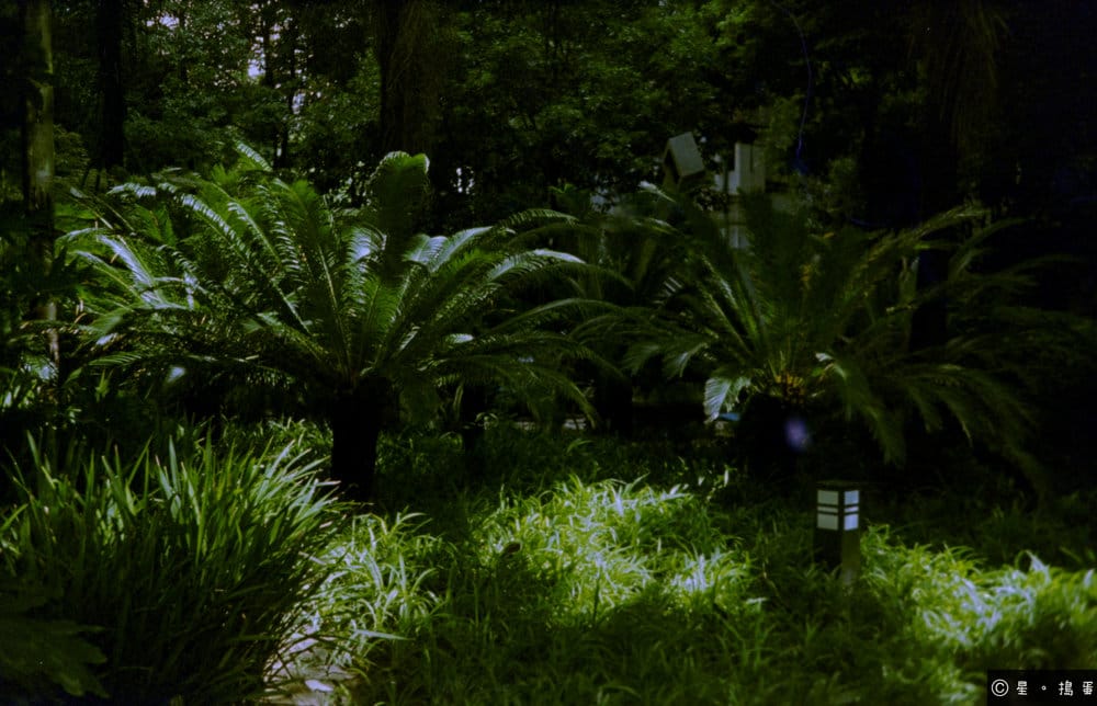 Reflx Lab C200-110｜成都萬象城｜Fujica Pocket Flash AW（維護後）
