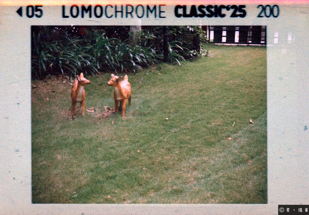 Lomography LomoChrome Classicolor 110 ISO 200｜成都萬象城｜Fujica Pocket 250